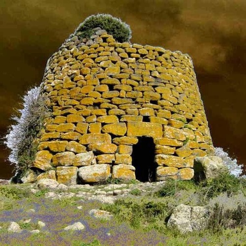 RE shardanastepper  - MeCmaC Re Edit