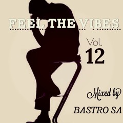 Feel The Vibes Vol 12 Mixed By DJ Bastro SA Nov Mix