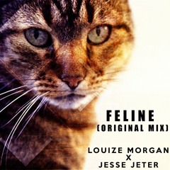 Feline (Original Mix)