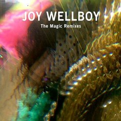 Joy Wellboy - The Magic (Phon.o Remix)