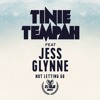 Tinie Tempah Feat. Jess Glynne - Not Letting Go (DJ Raja Remix)