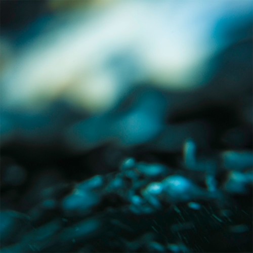 ASC - Fervent Dream [SSCD18]