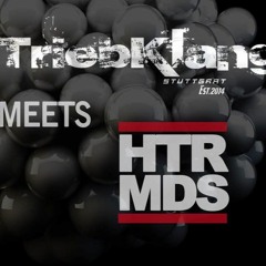 TEKKERKANE @ ZOLLAMT STUTTGART 07.11.2015 [TRIEBKLANG MEETS HTR MDS]