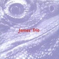 James' Trio (Jamesz) - In The Threes