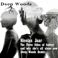 Nicolas Jaar - The Three Sides Of Audrey - and why she's all alone now(Deep Woods Remix)