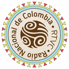 Este artista le pone el son y el sabor a la Noche Radio Nacional de Colombia: Altibajo Latin Son