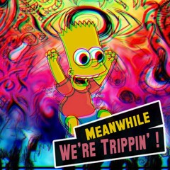 Meanwhile, we're trippin' ! #1