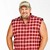 Artwork for Larry the Cable Guy Interview