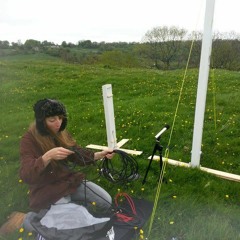 Contact Microphone Wind Harps