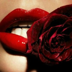 ROUGE & NOIR ((MoriNight))