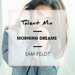 Talent Mix #10 | Sam Feldt - Morning Dreams | 1daytrack.com