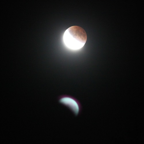 Stream Meteor Shower Dream by EL PELICAN Listen online for free on