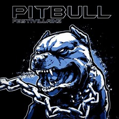 Festivillainz – Pitbull / Trap Sounds Premiere
