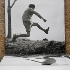 RootsWings & Two Legs                   (+ video links)