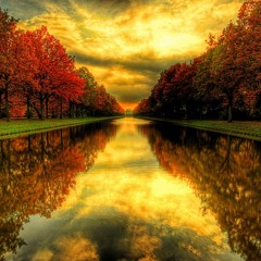 Autumn Selection
