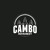Artwork for 04 Tee Cambo - What If Feat. V8 & TRIBES - 2
