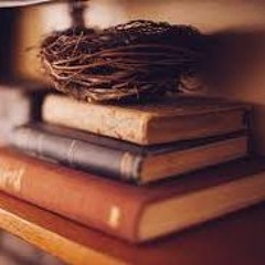 Tonzo' - Book of Rhymes