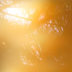 holographic imagination