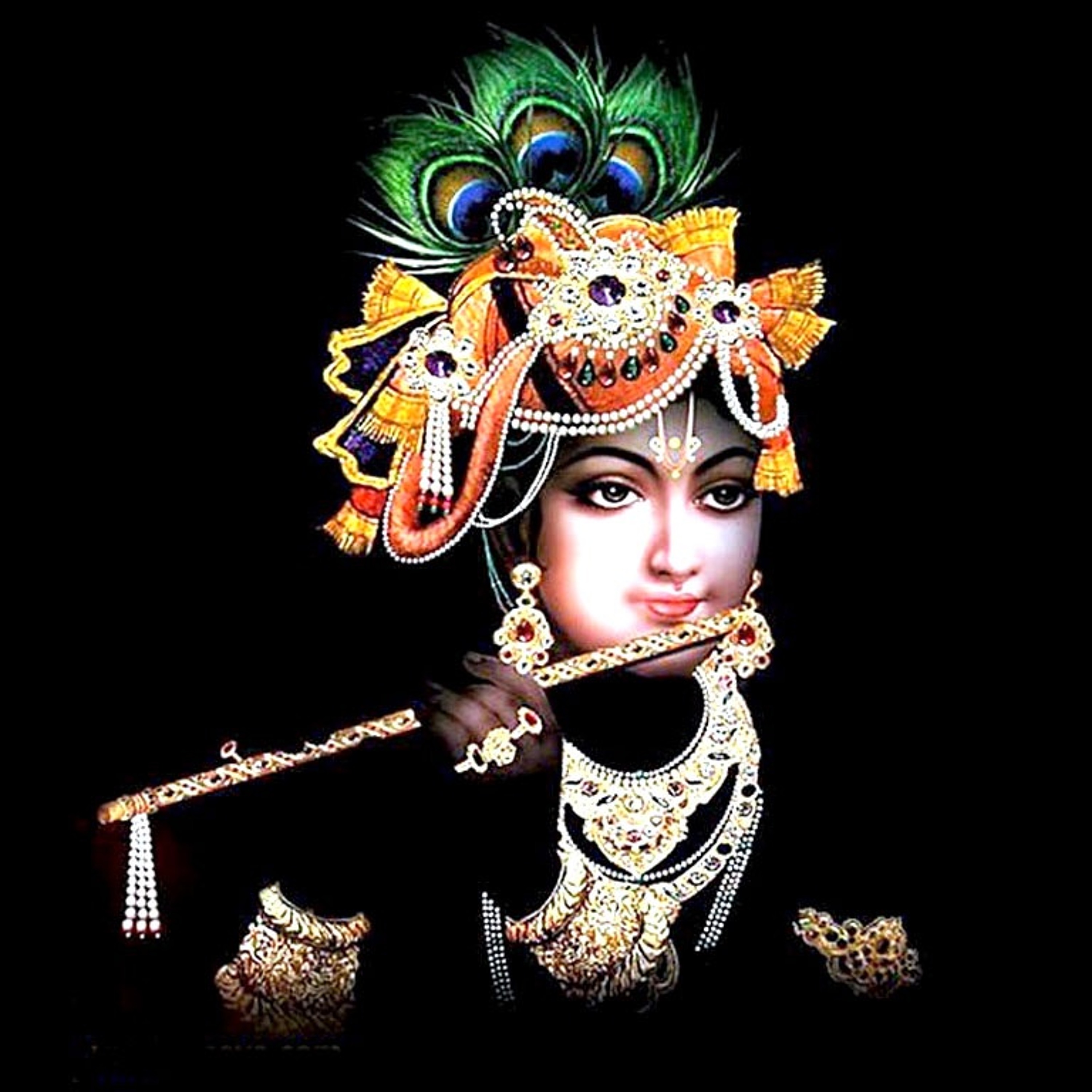 Krishna's Jungle episode artwork