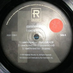 Common Sense - I Used To Love H.E.R. (Chief Rugged Blend)