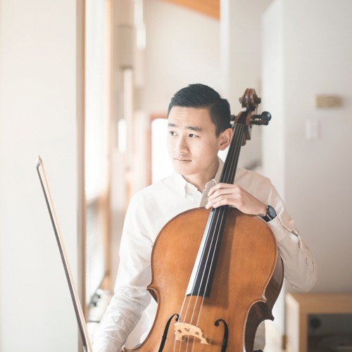 "Stitches" - Shawn Mendes (Cello Cover)