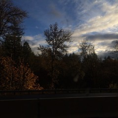 Mad World by Gary Jules