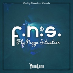 F.N.S. - Fly Nigga Situation