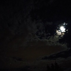 Own This Year - Evac (Prod. by Ill  Instrumentals)