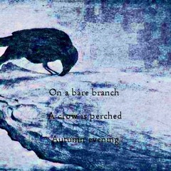 Corvus [Naviarhaiku096 - On A Bare Branch]