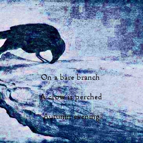 Corvus [Naviarhaiku096 - On A Bare Branch]