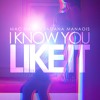 I Know You Like It Ft Tatiana Manaois Mp3