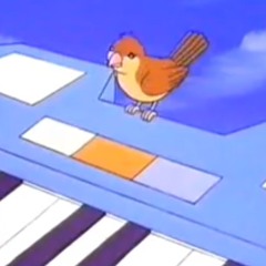 kodack +[oceanjams]
