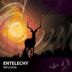 Entelechy - Infusion