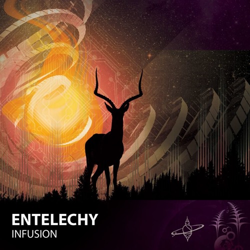 Entelechy - Infusion