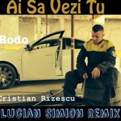Bodo & Cristian Rizescu - Ai Sa Vezi Tu  (Lucian S. & Fatman Scoop Remix)