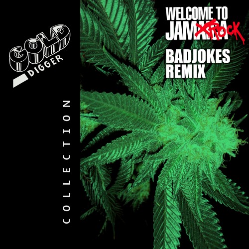 Welcome to Jamrock (BADJOKES Remix)