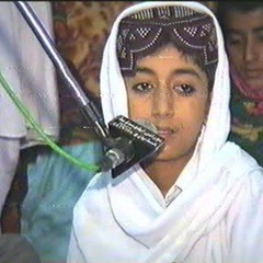 Waqar Ahmed Abbasi Naat Mola Dekhary Subh Khy Madino (Sindhi Naat)