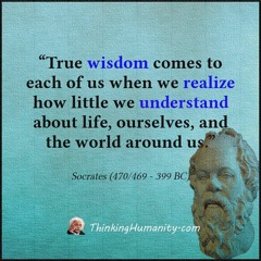 Sweat Enzo- How Would It Be Different Now