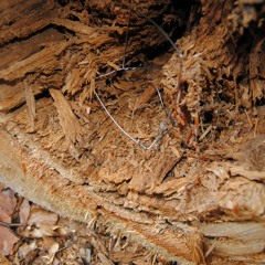 Warehouse - Aaron Parker