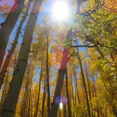 Journeys End In Lovers Meeting