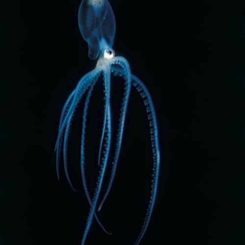 be