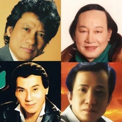 Hanh Trang Gia Tu - Son Tuyen Ft Tuan Vu