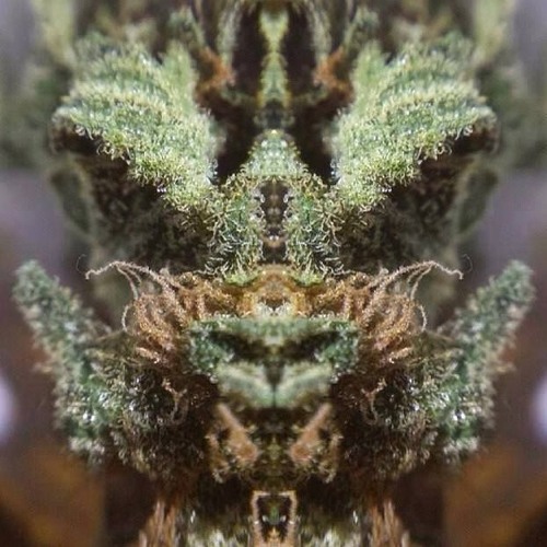 Ragga Jungle Cake Vol.1 Remake