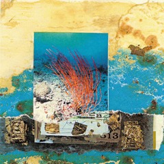 Mike Cooper - An Aesthetic of Bird Calls (LP Excerpt)