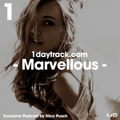 Exclusive Mix #33 | Nico Pusch - Marvellous | 1daytrack.com