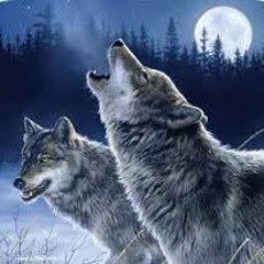 Wolves - Youth (REMIX)