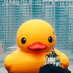 The Duck Life