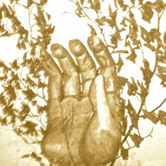 The Key (Learning To Fly)