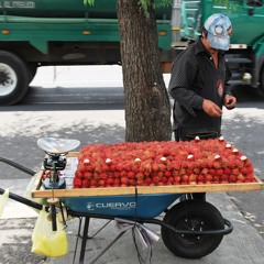 Mexican Breakfast Street Vendor