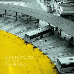 Maniscalco/Bigoni/Solborg 2015